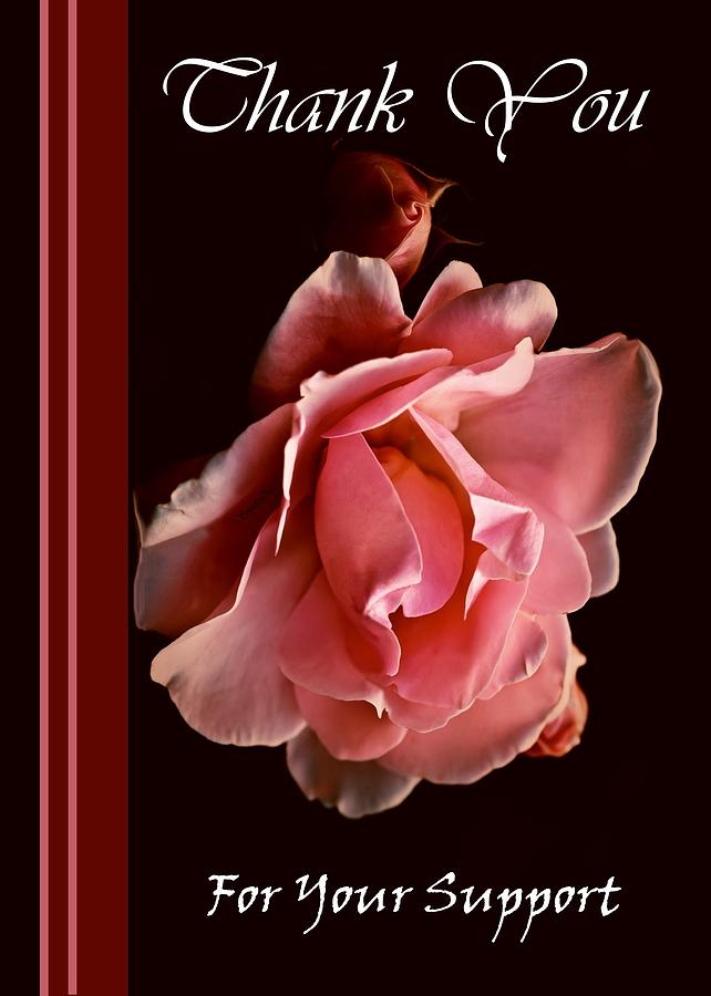 Pink Rose Digital Art by Madeline  Allen - SmudgeArt
