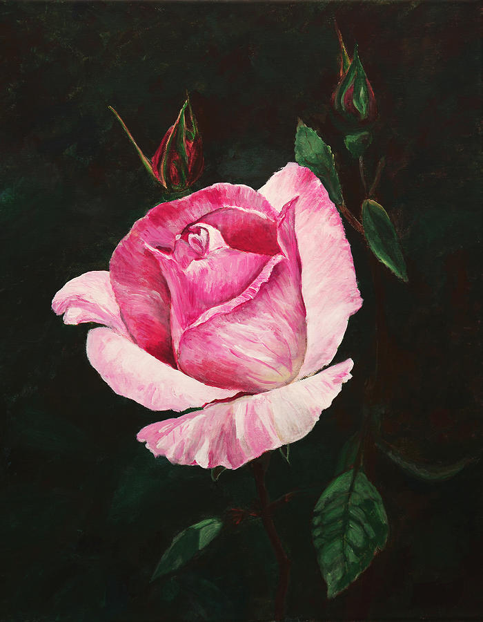 Pink Rose Painting by Masha Batkova