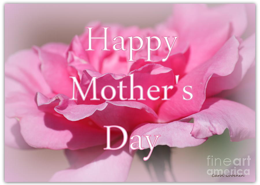 Pink Rose Mother's Day Card Photograph by Carol Groenen - Fine Art America