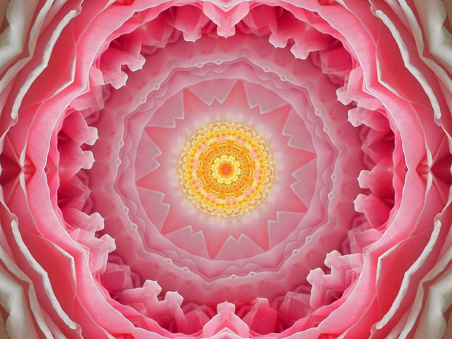Pink Rose Sunshine Mandala Digital Art by Diane Lynn Hix