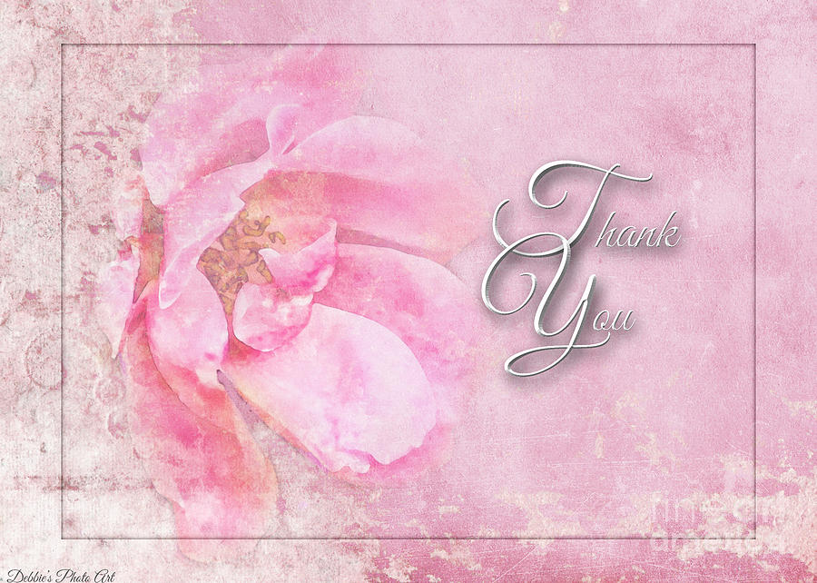 Pink Rose Thank You greeting card Photograph by Debbie Portwood