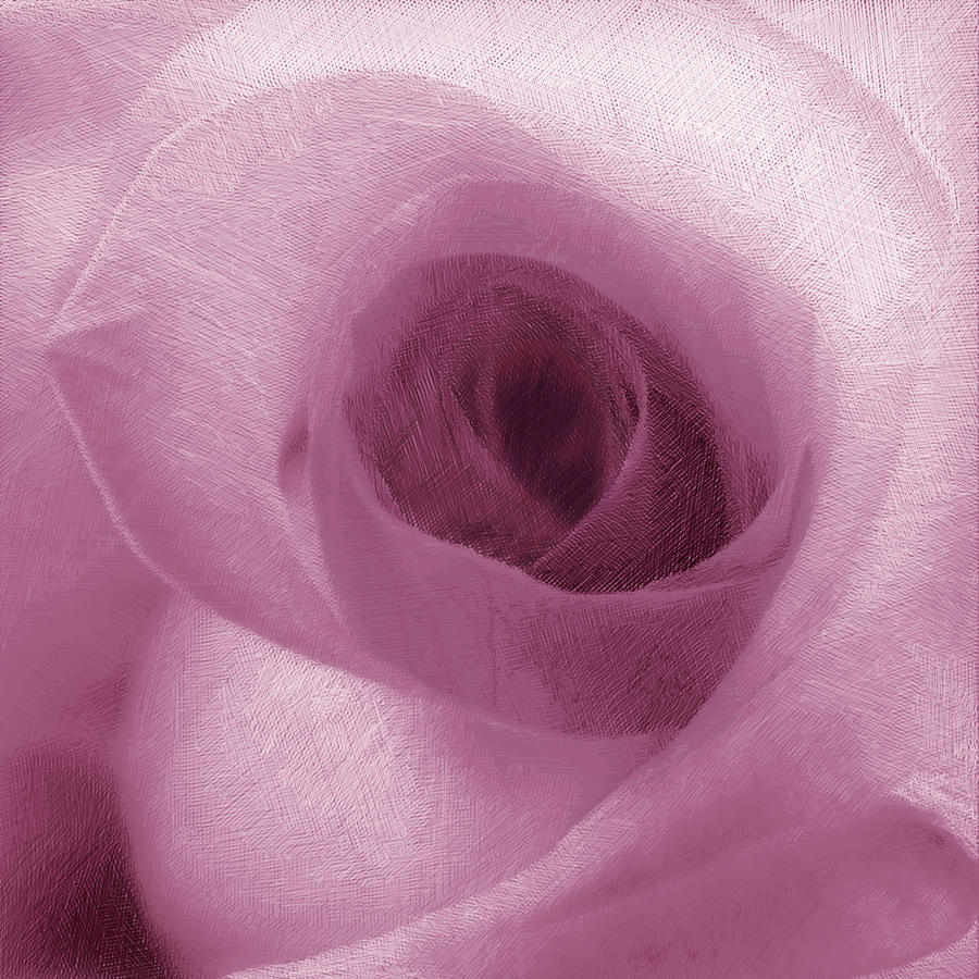 Pink Rose Painting by Tony Rubino