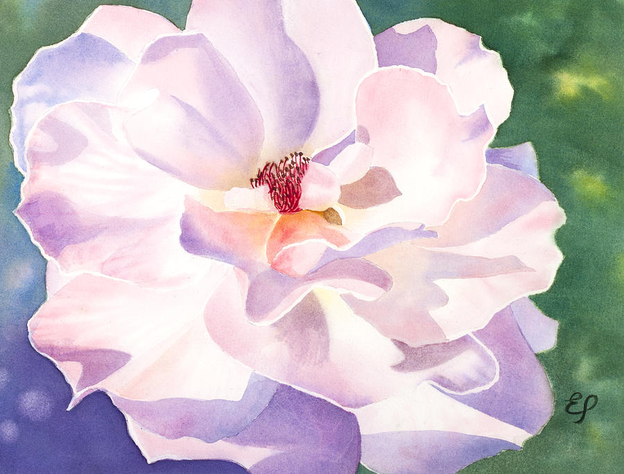 Pink Rose - transparent watercolor Painting by Elena Polozova