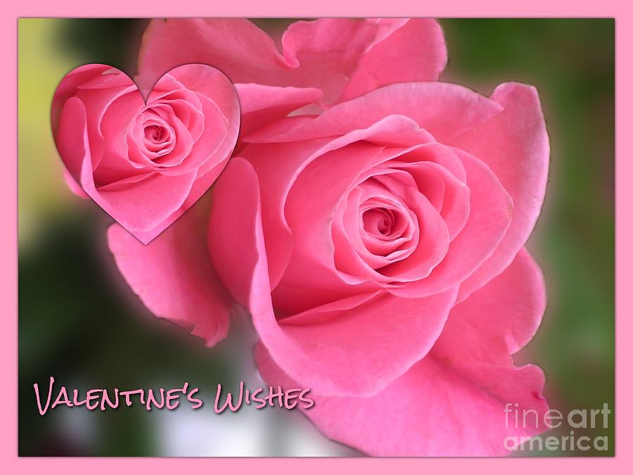Rose Photograph - Pink Rose Valentines Wishes by Joan-Violet Stretch