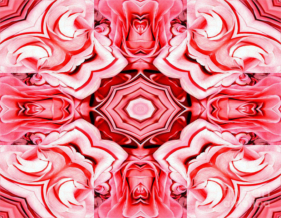 Rose Photograph - Pink Roses Abstract Kaleidoscope by Rose Santuci-Sofranko