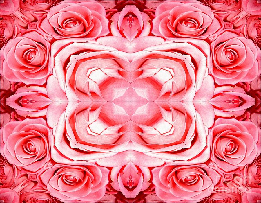 Pink Roses Abstract Photograph by Rose Santuci-Sofranko