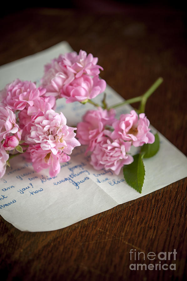 Pink Roses And Love Letter Photograph by Lee Avison