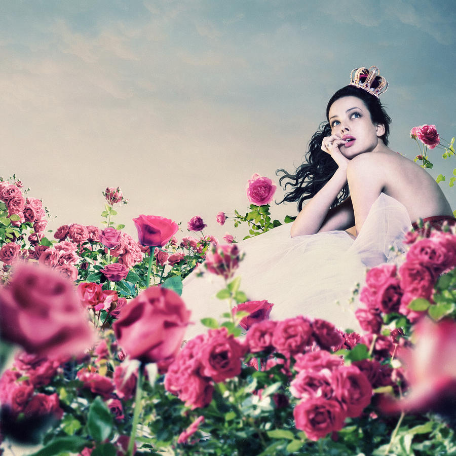 Pink Roses Garden Photograph by Vizerskaya