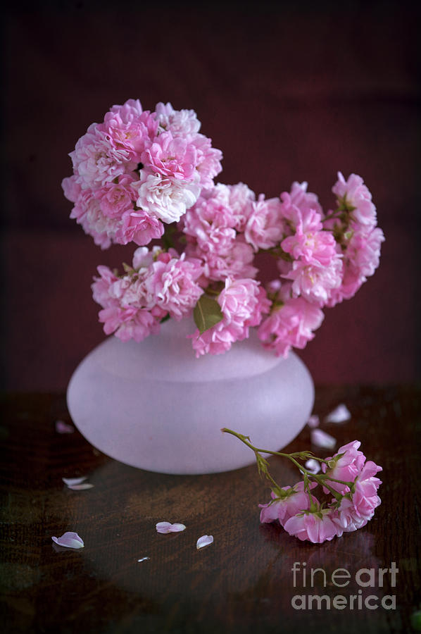 Pink Roses In A Vase With Fallen Sprig And Scattered Petals Photograph by Lee Avison