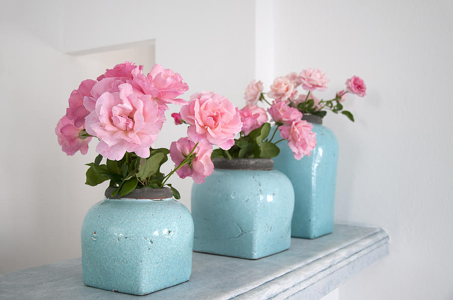 Pink roses in Turquoise Vases in Mykonos Greece Photograph by Brenda Kean
