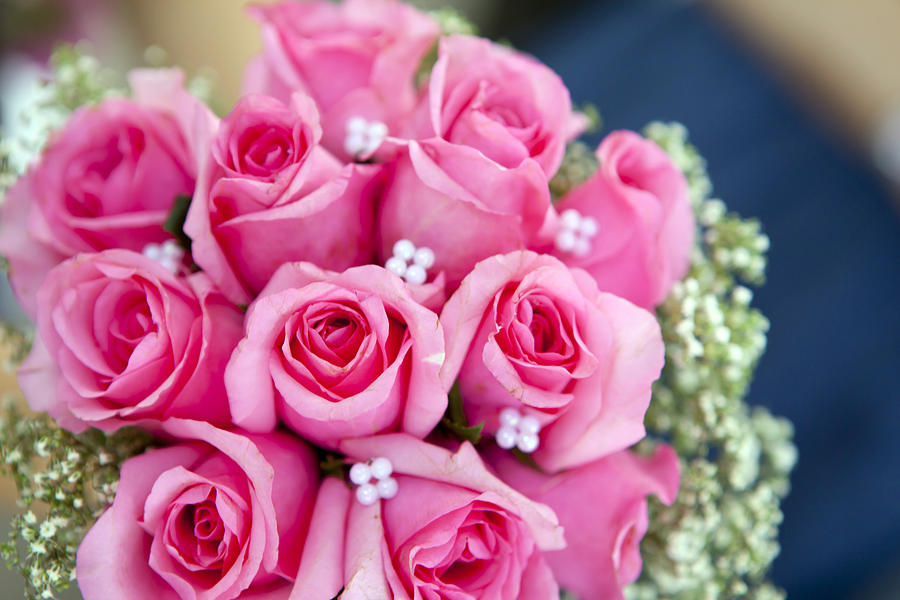 Pink Roses Romance Photograph by Ernst Cerjak