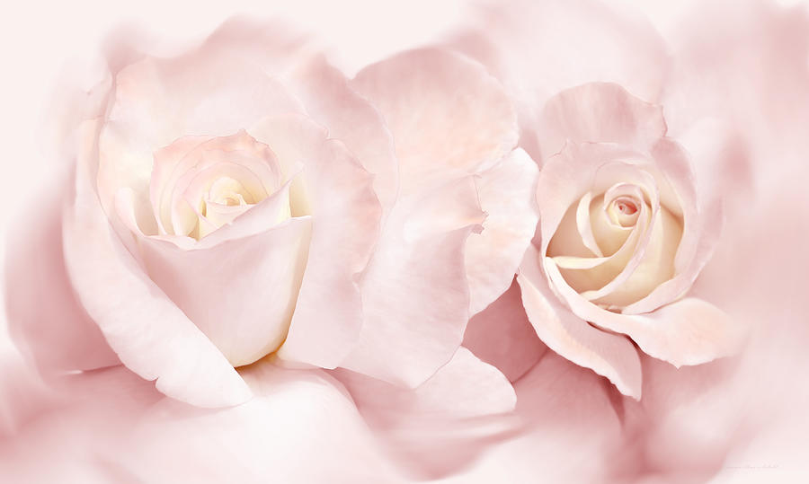 Pink Roses Romance Photograph by Jennie Marie Schell