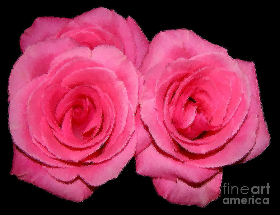 Pink Roses With Brush Stroke Effects Photograph by Rose Santuci-Sofranko