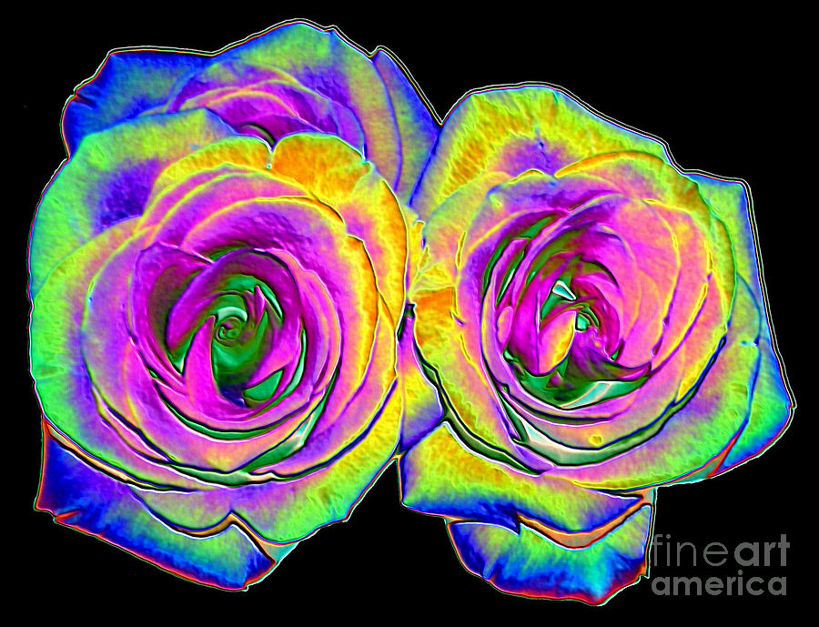 Rose Photograph - Pink Roses with Colored Foil Effects by Rose Santuci-Sofranko