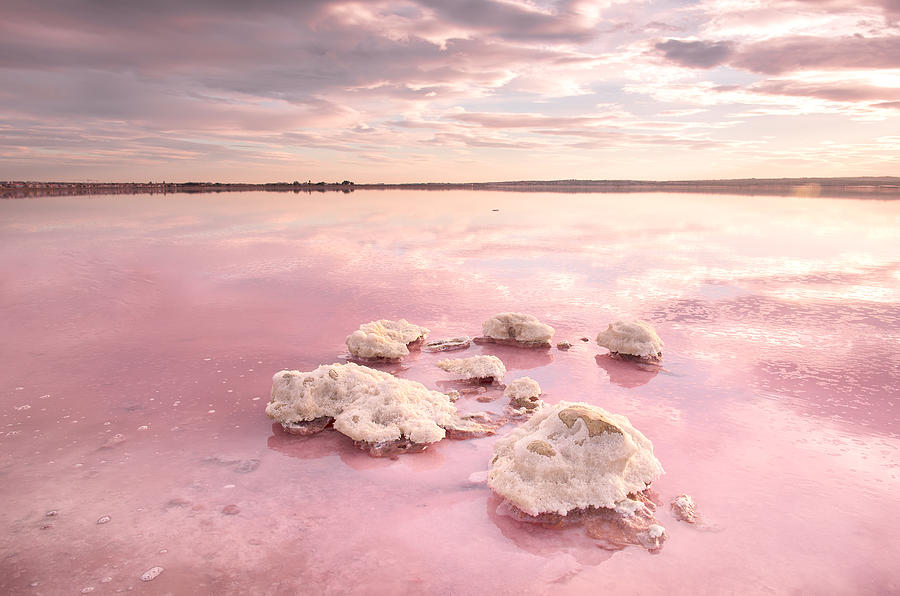 Pink saltwater lagoon of Torrevieja Photograph by Merche Portu