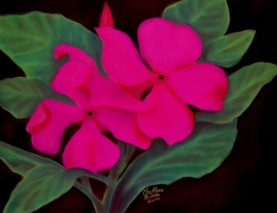 Flower Drawing - Pink San Vicente by Charito ChatRose Mahilum