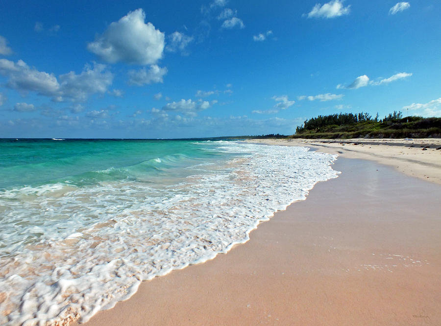 Pink Sand Beach 1 on Eleuthera Photograph by Duane McCullough
