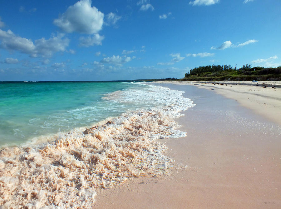 Pink Sand Beach 2 on Eleuthera Photograph by Duane McCullough