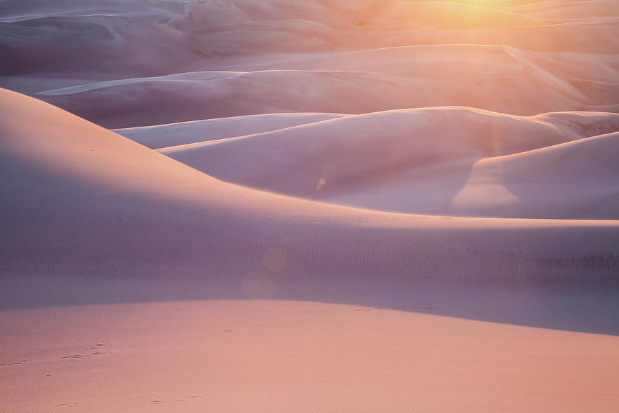Pink Sand Dunes Photograph by Adrian Studer