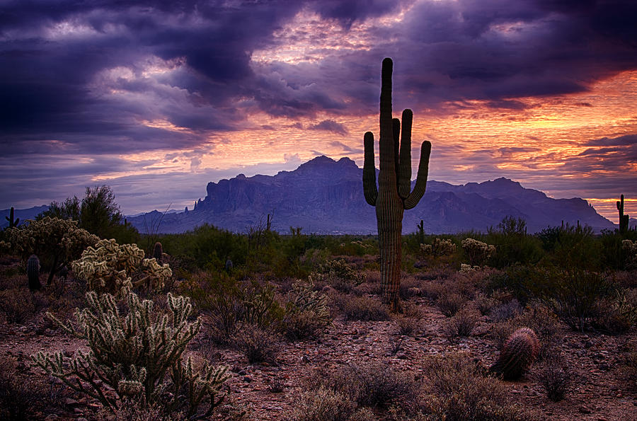 Mountain Photograph - Pink Skies at the Superstitions by Saija Lehtonen