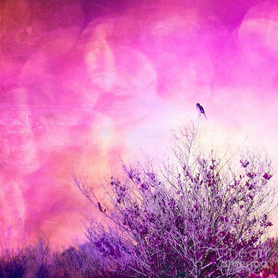 Stork Digital Art - Pink Sky by Phill Petrovic