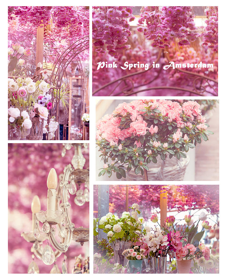 Pink Spring in Amsterdam. Flower Market Photograph by Jenny Rainbow