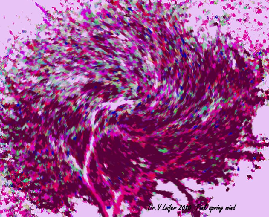Pink spring wind Digital Art by Dr Loifer Vladimir