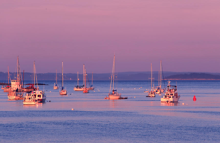 Sunset Photograph - Pink Sunset and Sailboats by Barbara West