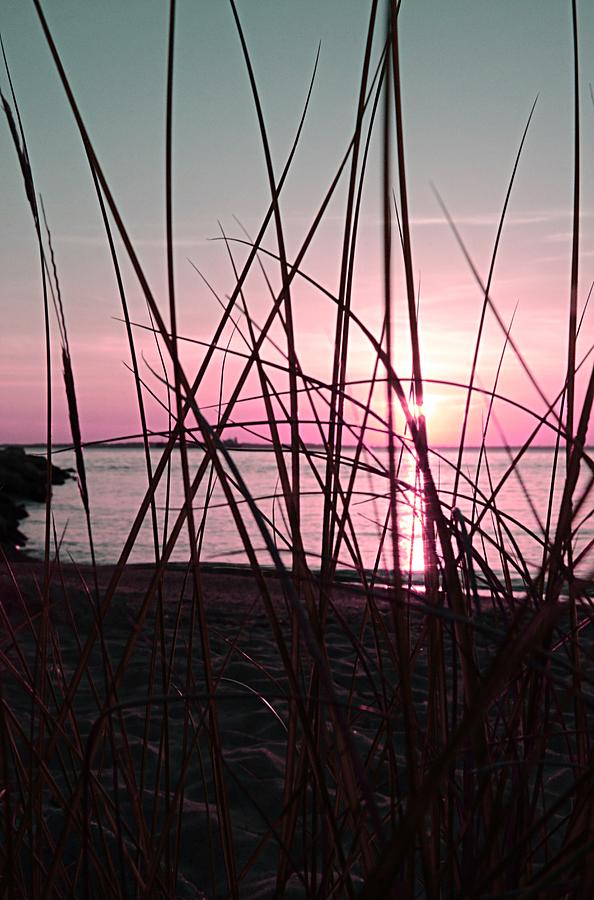 Sunset Photograph - Pink Sunset by Marianna Mills