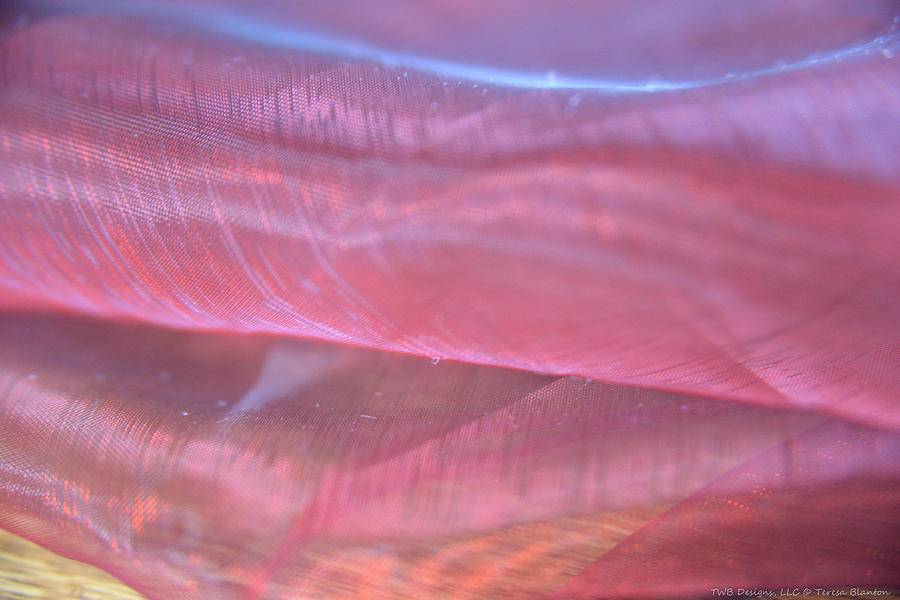 Pink Texture Photograph by Teresa Blanton
