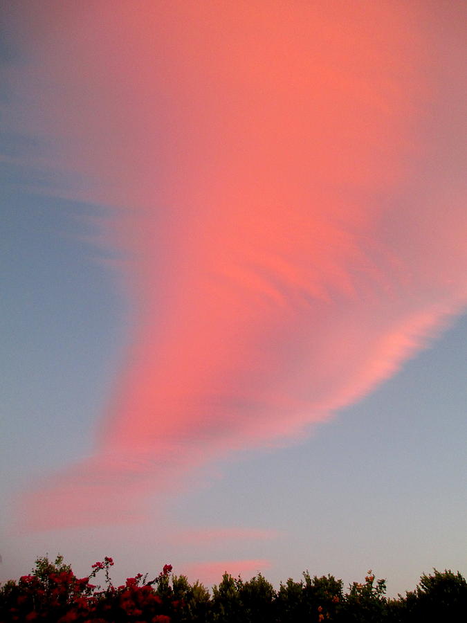 Pink Tornado 2 Photograph by Randall Weidner - Fine Art America