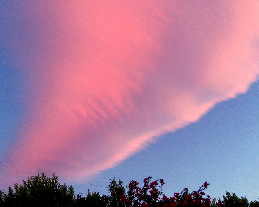 Pink Tornado 3 Photograph by Ron Kandt - Fine Art America