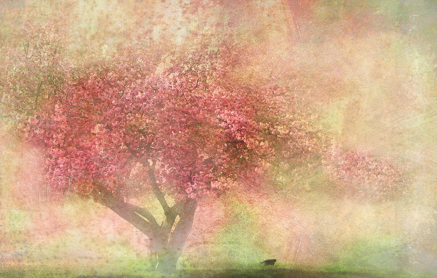Pink Tree Mixed Media by Heike Hultsch