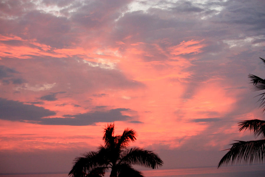Pink Tropical Sunset Photograph by Karen Nicholson