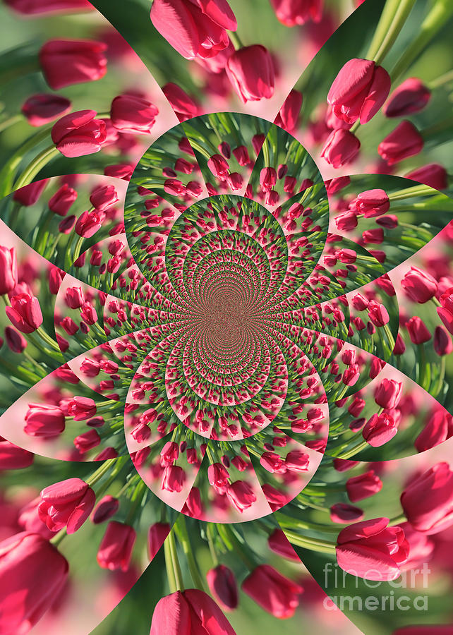 Pink Tulip Dream Kaleidoscope Photograph by Carol Groenen