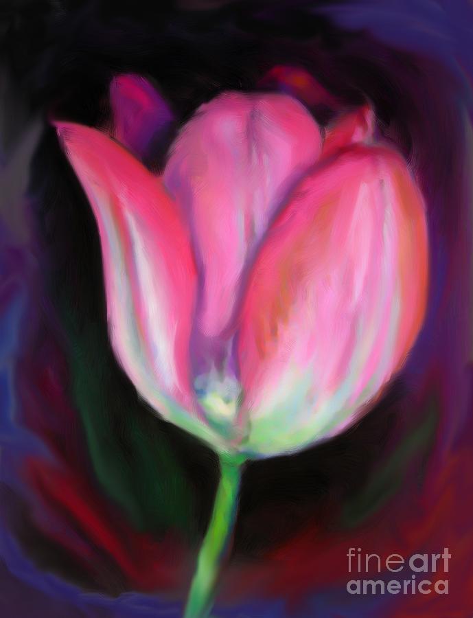 Pink Tulip Photograph by Elaine Berger