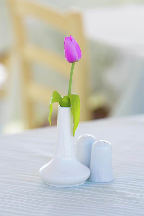 Still Life Photograph - Pink Tulip In White Vase by Wladimir Bulgar