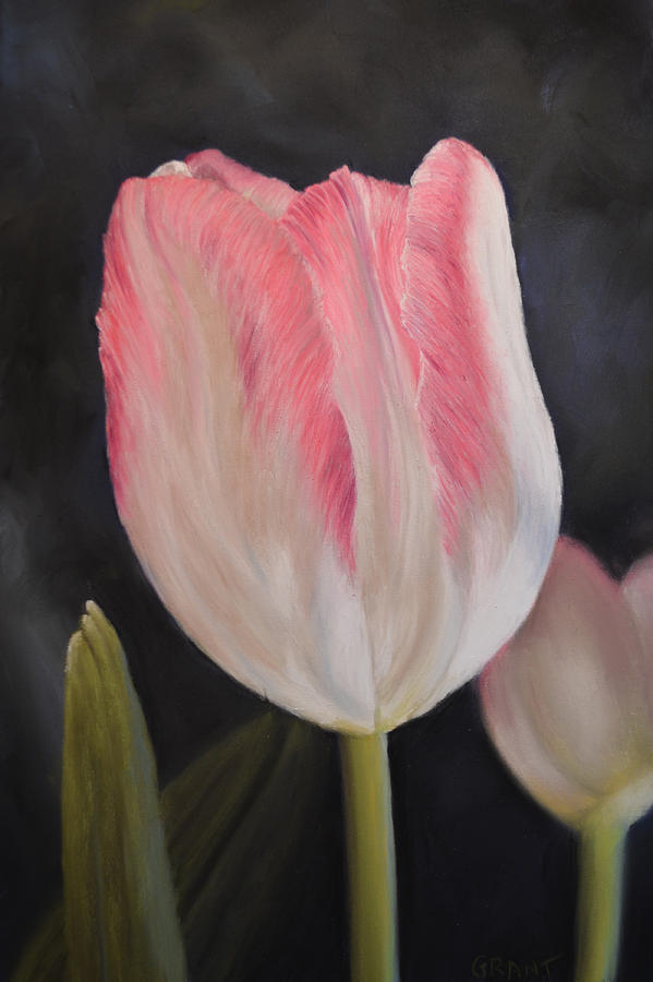 Pink Tulip Painting by Joanne Grant