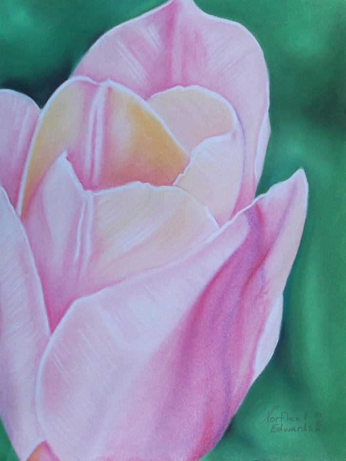 Pink Tulip Painting by Norfleet Edwards - Pixels