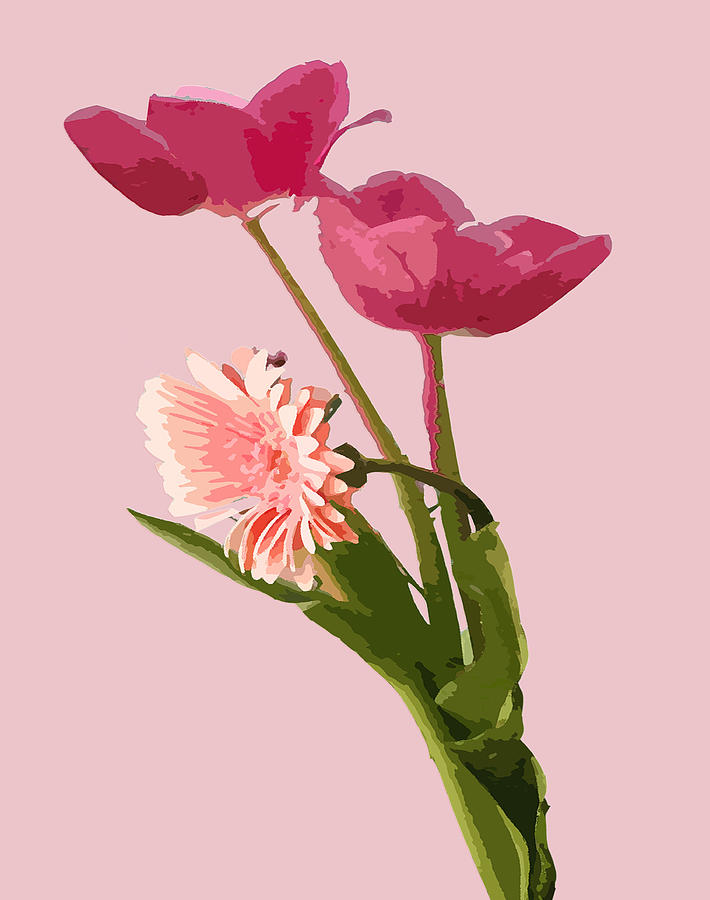 Pink Tulips and Daisy Digital Art by Karen Nicholson
