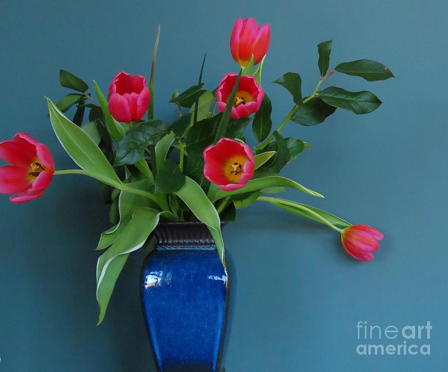 Pink Tulips captured in Blue Photograph by Anita Adams