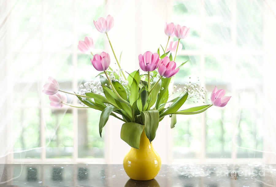 Pink Tulips In The Window Photograph by Lois Bryan