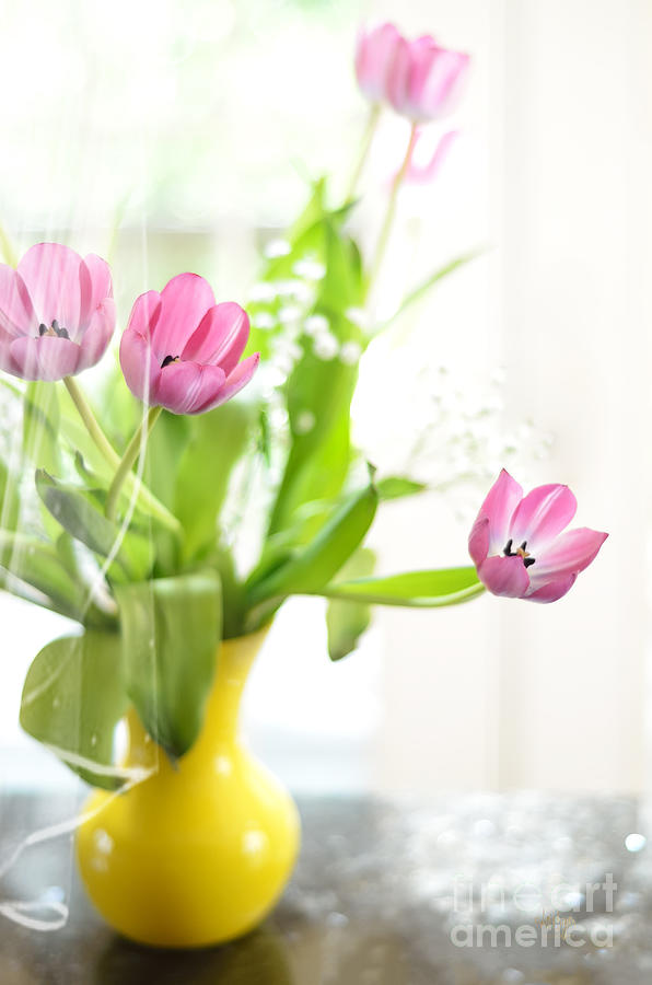 Tulip Photograph - Pink Tulips In Yellow Vase by Lois Bryan