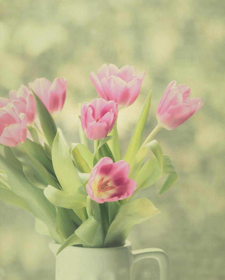 Tulip Photograph - Pink Tulips by Kim Hojnacki