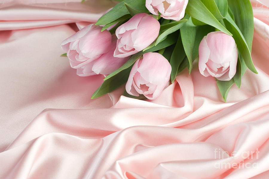 Pink Tulips Valentine Photograph by Boon Mee