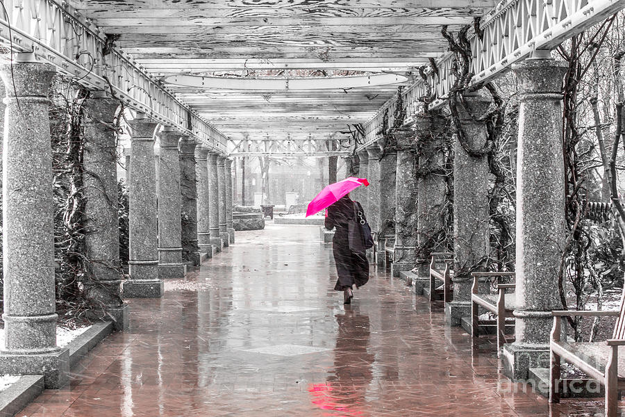 Pink Umbrella in a Storm Digital Art by Susan Cole Kelly Impressions