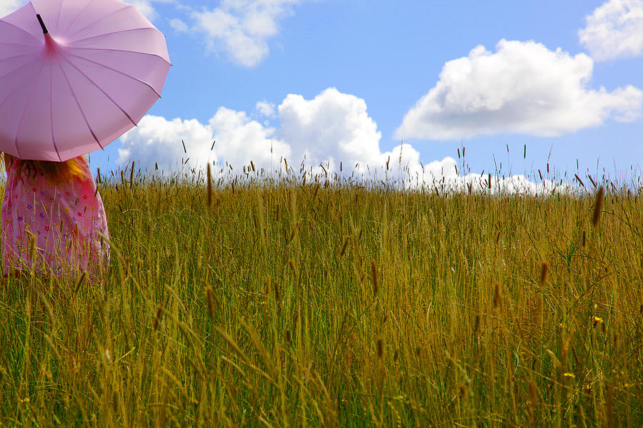 Pink Umbrella in the Meadow Photograph by Maggie Mccall