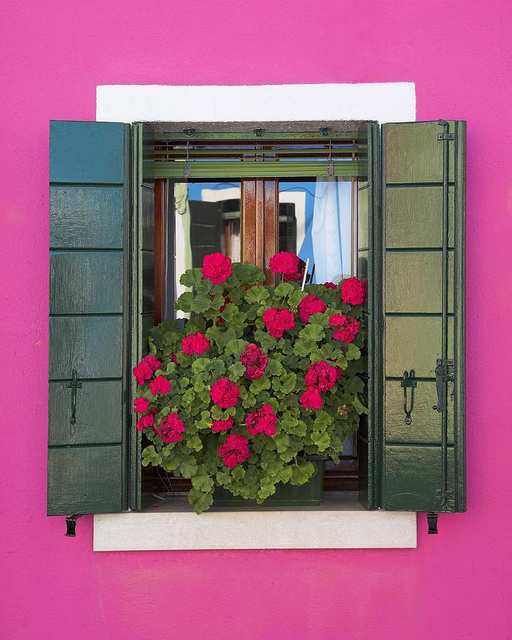 Pink Wall And Green Shutters Photograph by Chris Upton