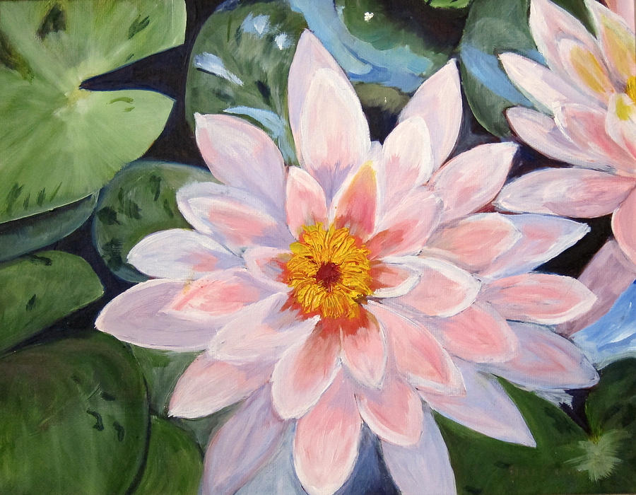 Pink Water Lilies Painting by Pat Exum