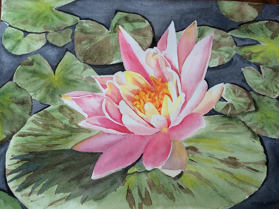 Pink Water Lily Painting by Sarah Guo - Fine Art America